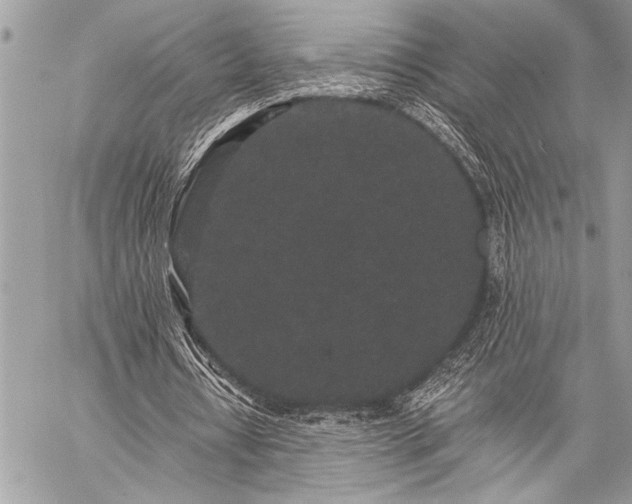 X0000059240434200510171435