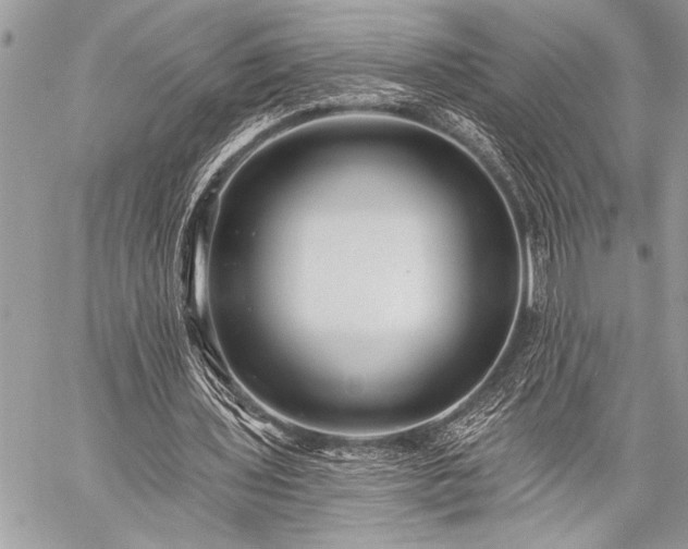 X0000059240435200510171435