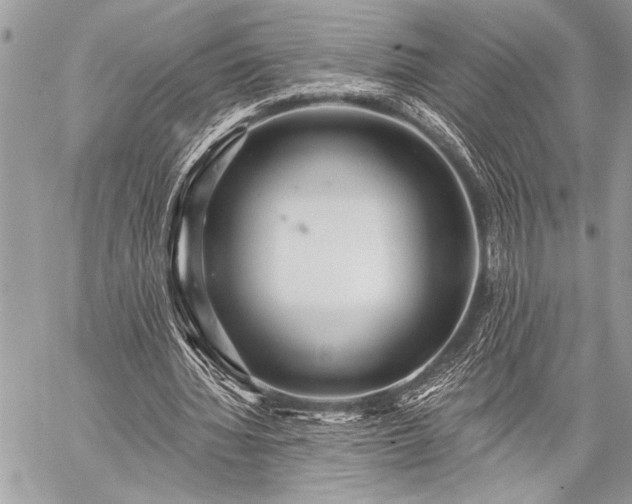 X0000059240436200510171435