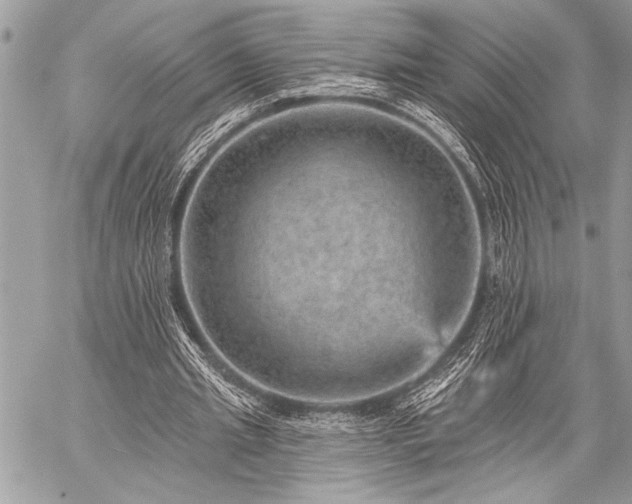 X0000059240437200510171435