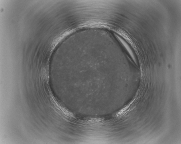 X0000059240438200510171435