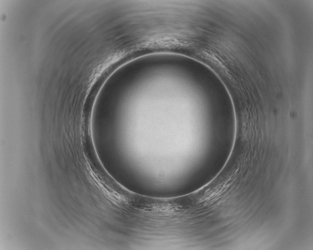 X0000059240439200510171435