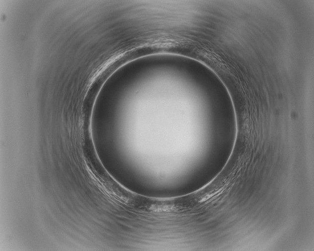 X0000059240440200510171435