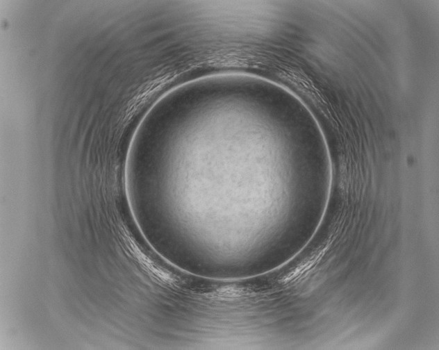 X0000059240441200510171435