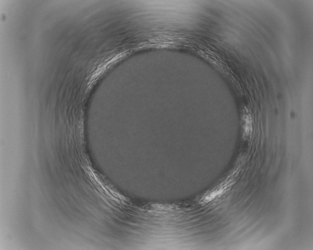 X0000059240442200510171435