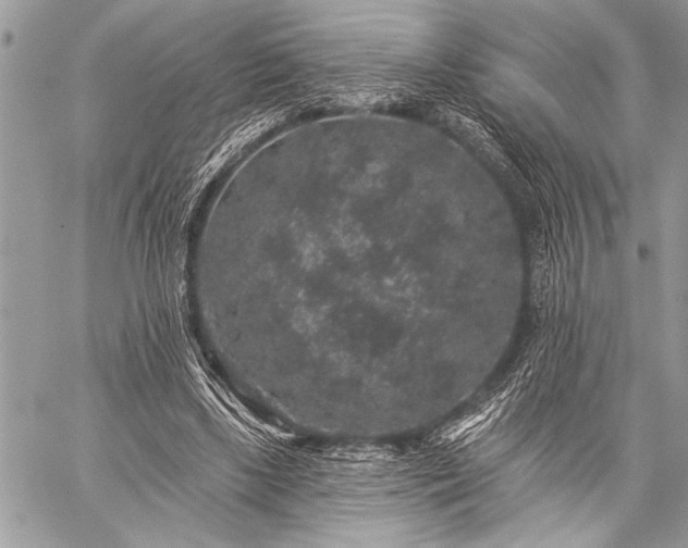 X0000059240443200510171435