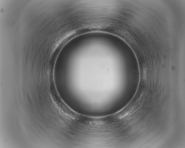 X0000059240444200510171435