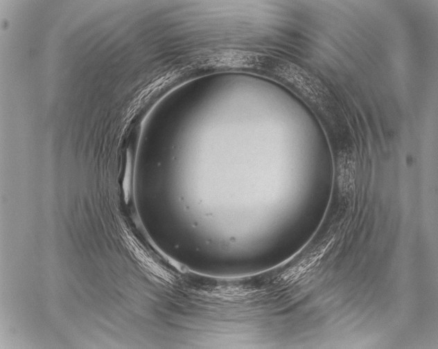 X0000059240445200510171435