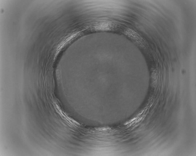 X0000059240446200510171435