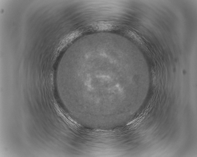 X0000059240447200510171435