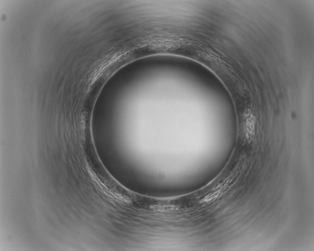 X0000059240448200510171435