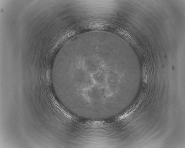 X0000059240449200510171435