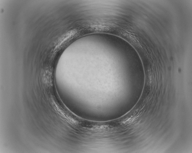 X0000059240450200510171435