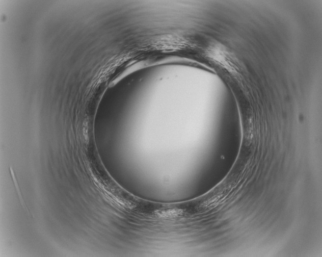 X0000059240452200510171436