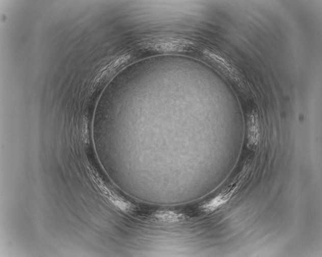 X0000059240453200510171436