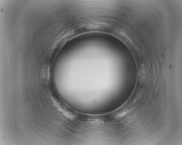 X0000059240454200510171436