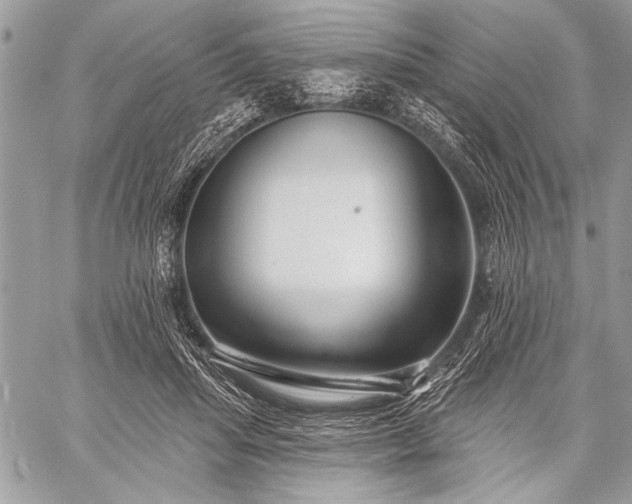 X0000059240455200510171436