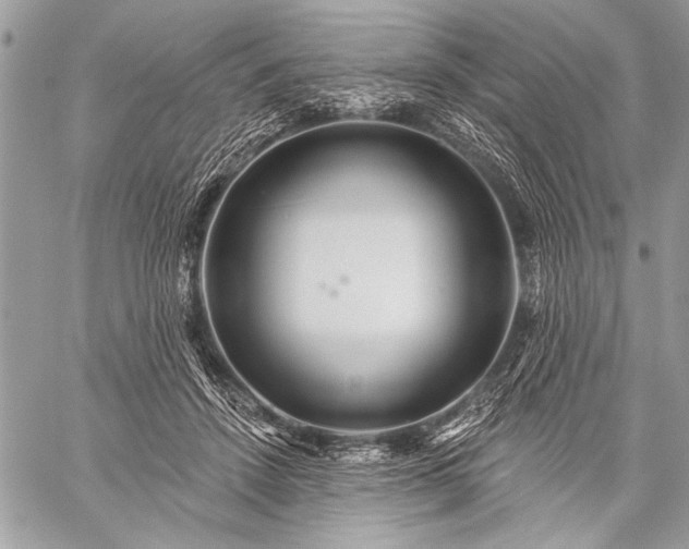 X0000059240456200510171436