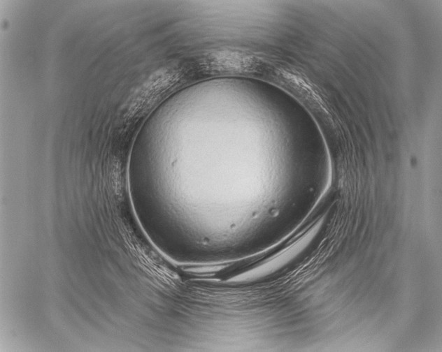 X0000059240457200510171436