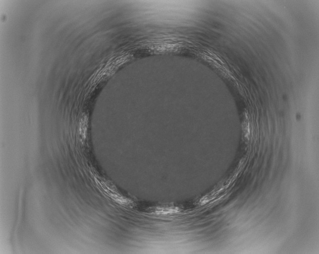 X0000059240458200510171436