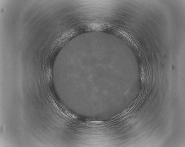 X0000059240459200510171436