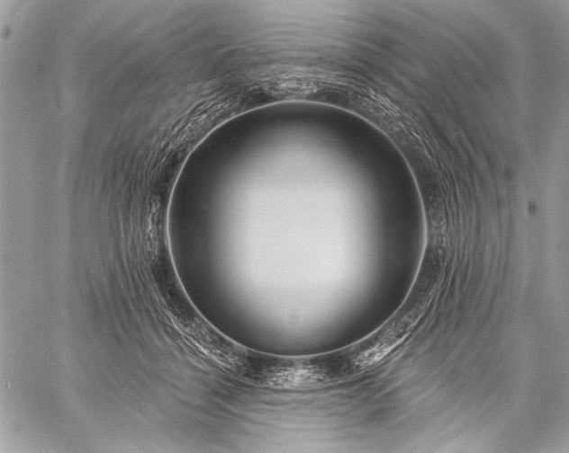 X0000059240460200510171436