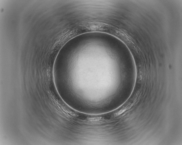 X0000059240461200510171436