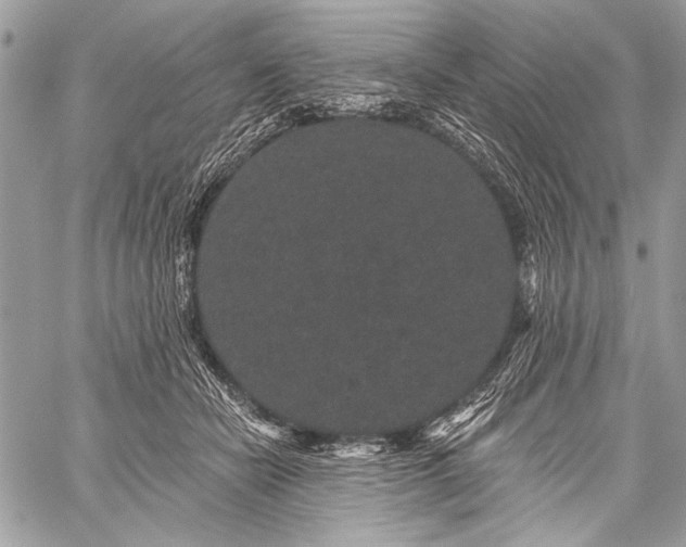 X0000059240462200510171436