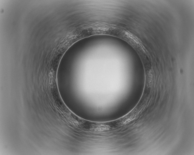 X0000059240463200510171436