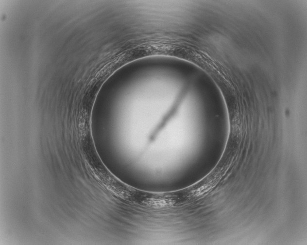 X0000059240464200510171436