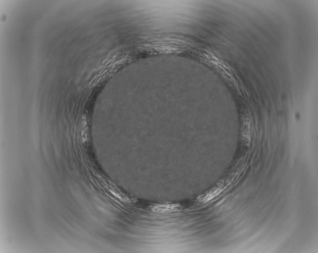 X0000059240465200510171436