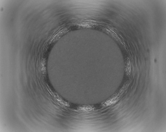 X0000059240466200510171436