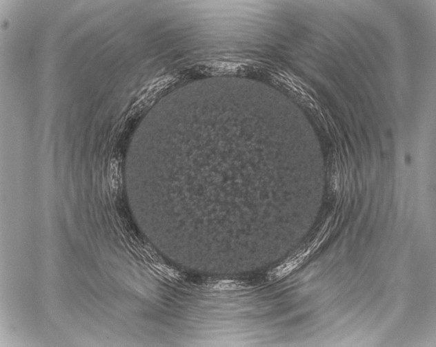 X0000059240467200510171436