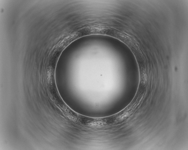 X0000059240468200510171436