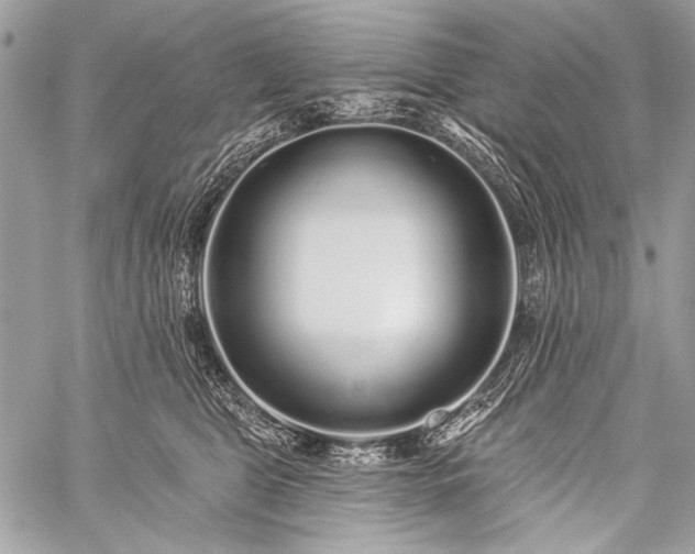 X0000059240469200510171436