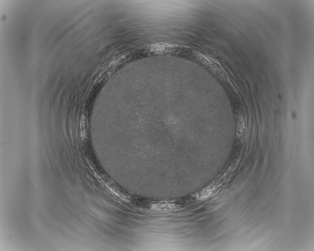 X0000059240470200510171436