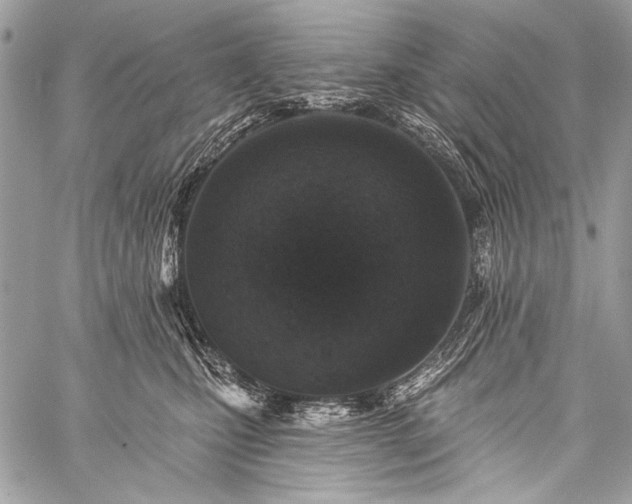 X0000059240471200510171436