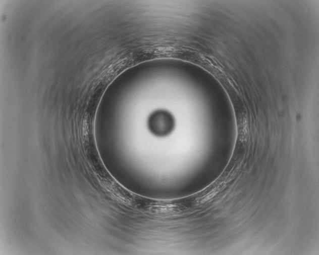 X0000059240472200510171436