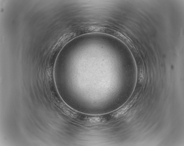 X0000059240473200510171436