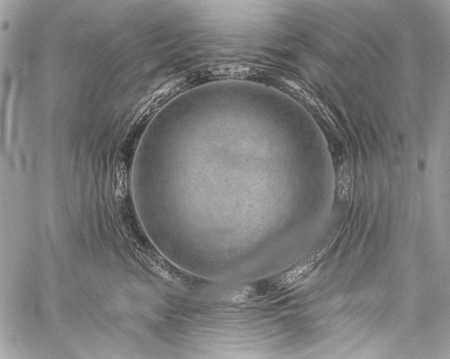 X0000059240474200510171436