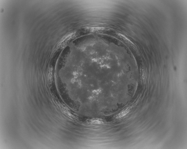 X0000059240475200510171436