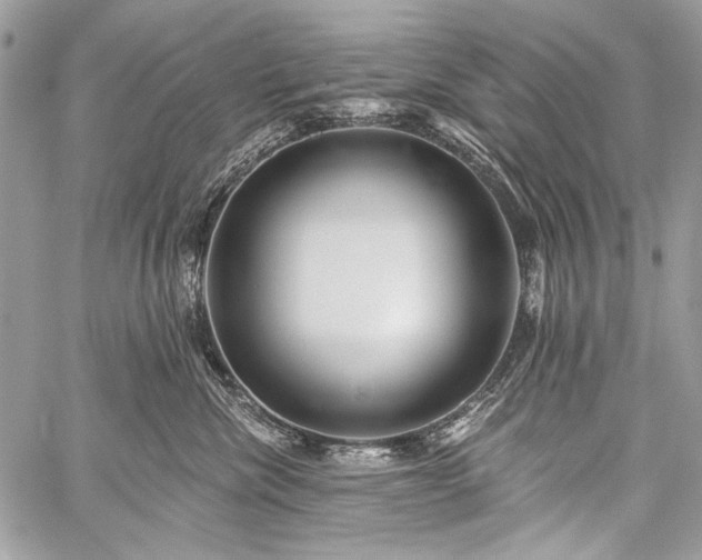 X0000059240476200510171436