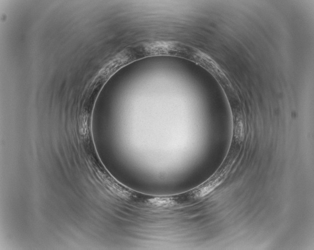 X0000059240477200510171436