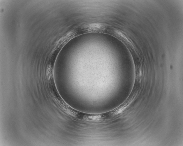 X0000059240478200510171436