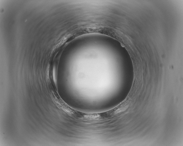 X0000059240480200510171436