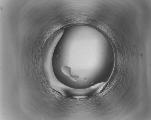 X0000059240481200510171435