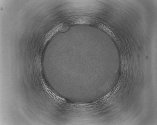 X0000059240482200510171435