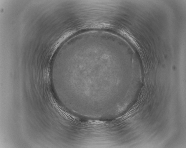 X0000059240483200510171435