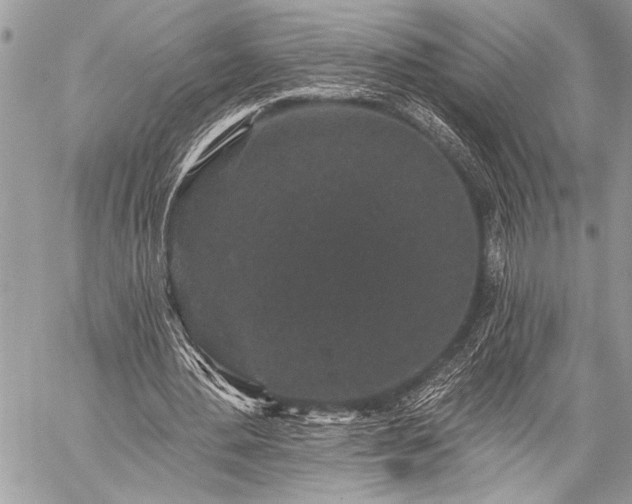 X0000059240484200510171435