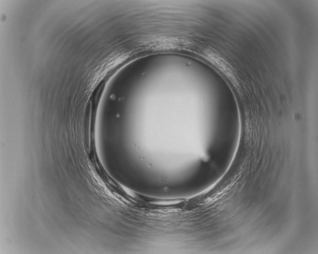 X0000059240485200510171435